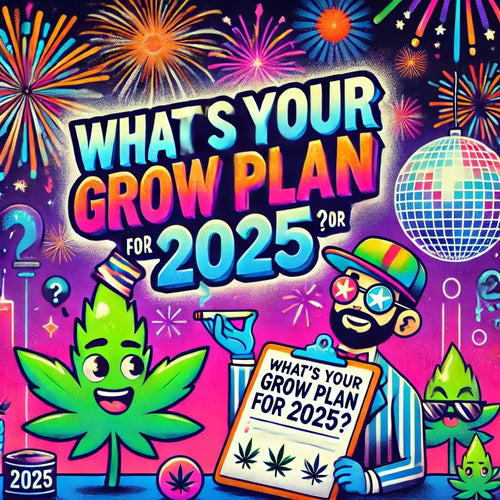 Growplanung 2025 - Was sollte beachtet werden?