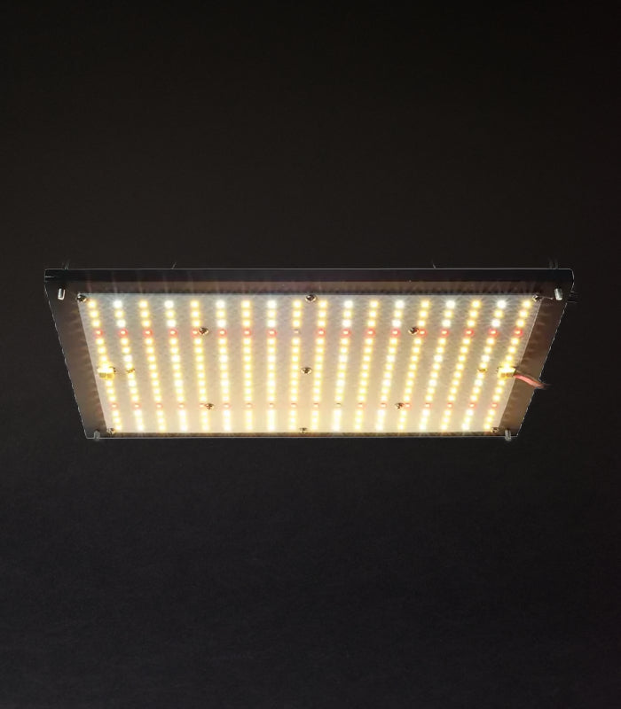 XLIGHTS | 100 W LED | Growlampe | Samsung Lm281 b Plus