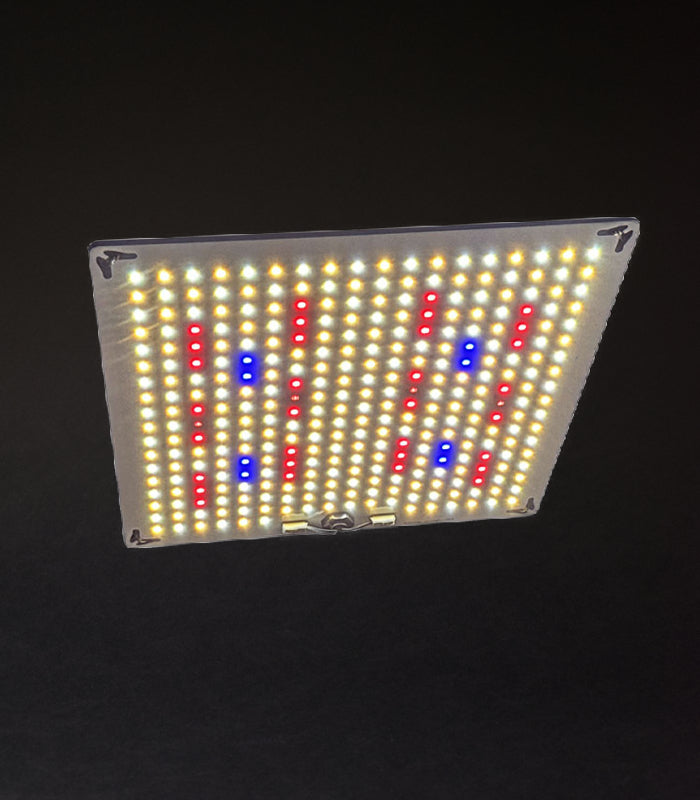 XLIGHTS | 100 W LED | Growlampe | Samsung Lm281 b Plus