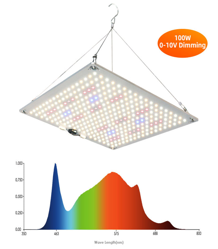 XLIGHTS | 100 W LED | Growlampe | Samsung Lm281 b Plus