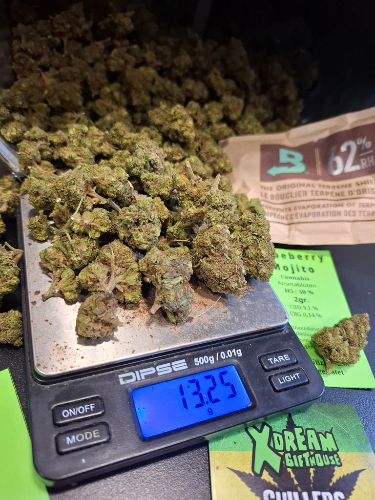 Blueberry Mojito | H5 50 %  | 2 gr.