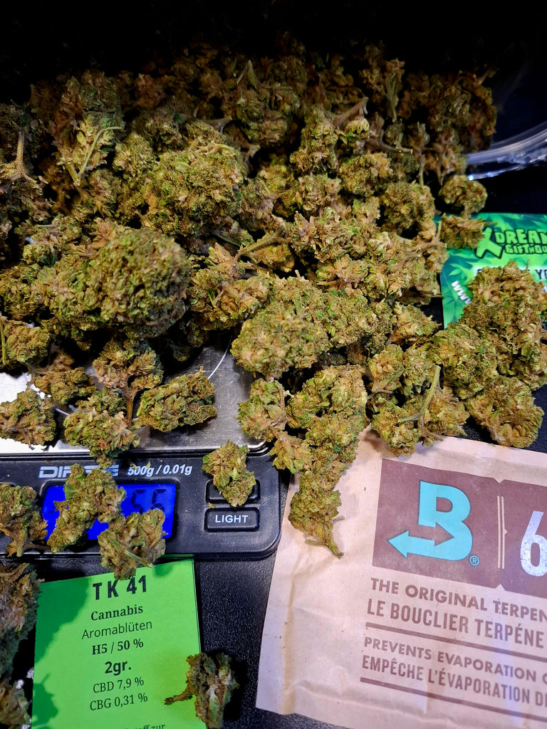 TK 41 | H5 50 % | 2 gr.