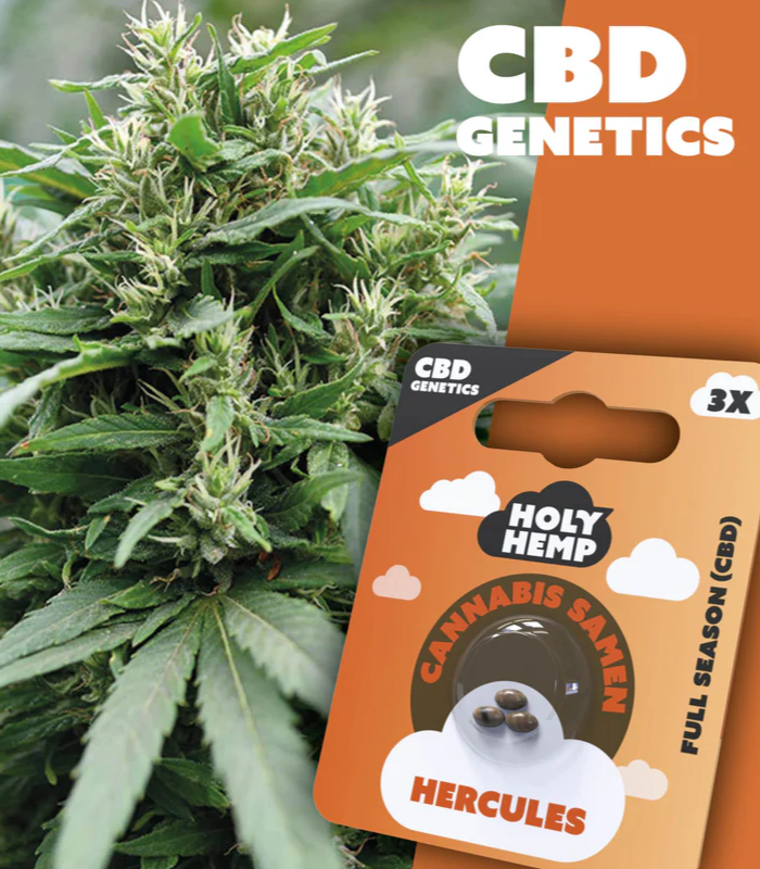 Holy Hemp | Hercules | CBD Genetics | 3 Samen