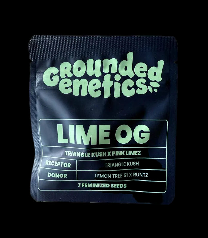 Grounded Genetics | Lime OG | 7 seeds