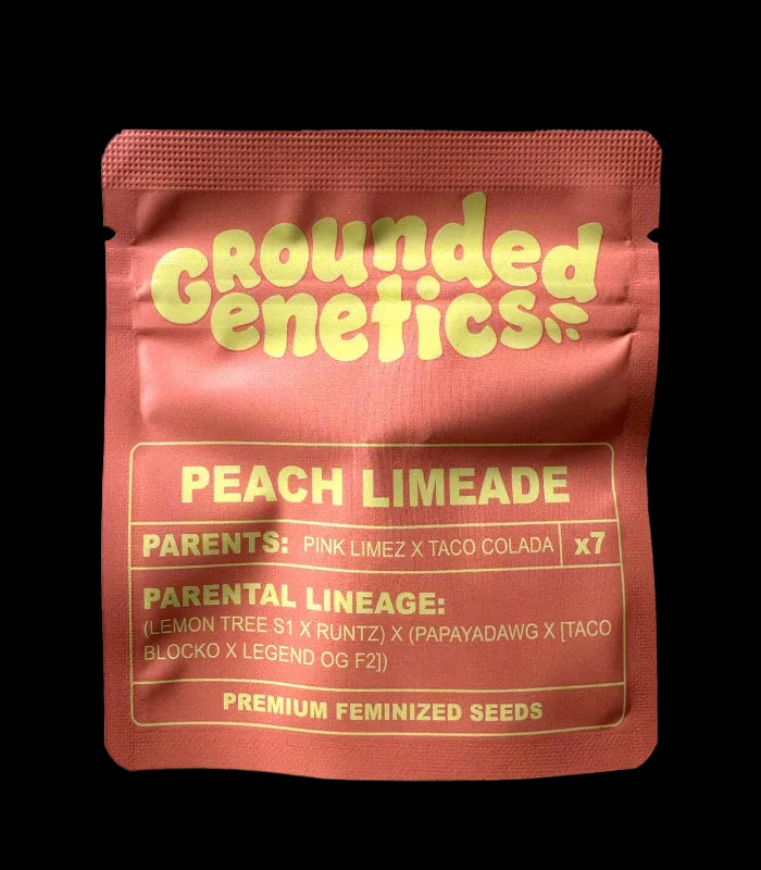 Grounded Genetics | versch. Sorten | 7 Seeds