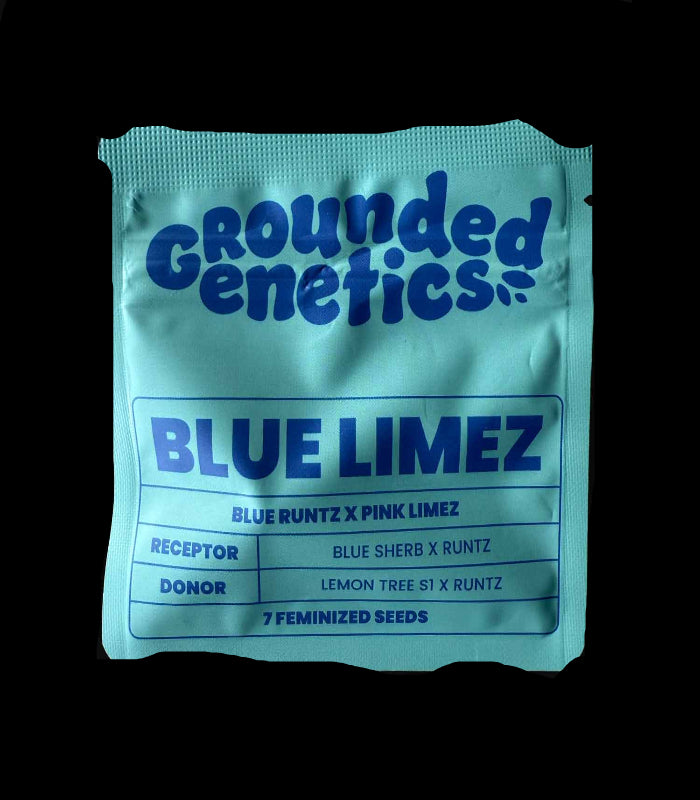 Grounded Genetics |  Blue Limez | 7 Seeds