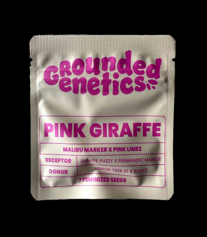 Grounded Genetics | Pink Giraffe | 7 Seeds