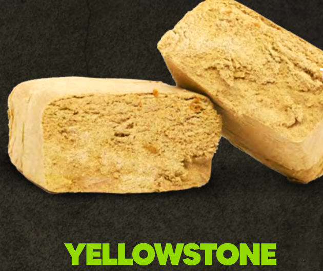 CBN+ | Yellowstone | 40 % | 2 g
