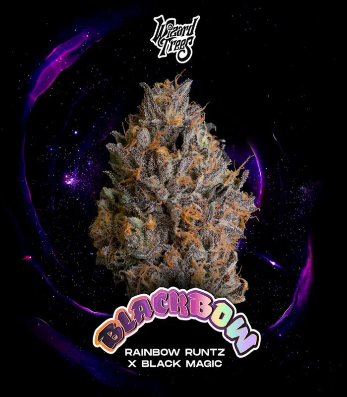 Wizard Trees | Black Magic Collection | 3 Seeds versch. Sorten