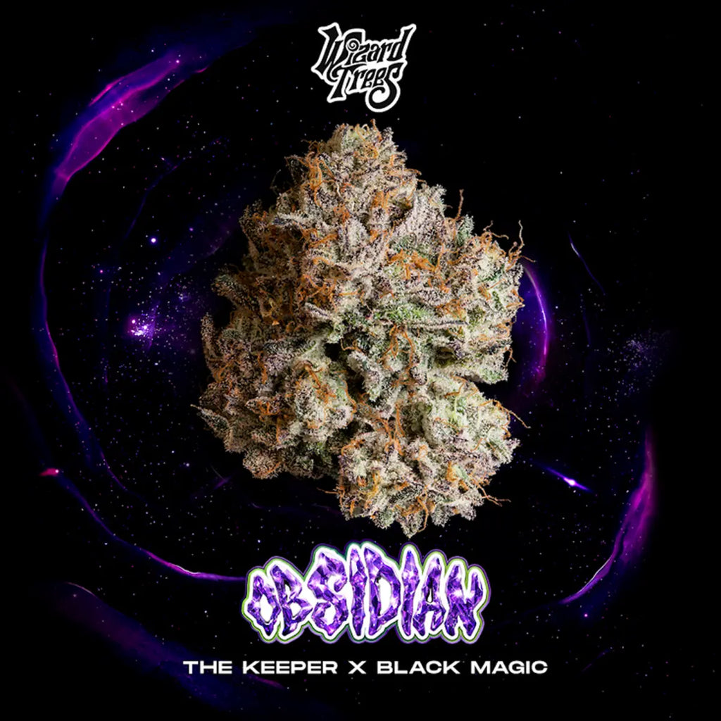 Wizard Trees | Black Magic Collection | 3 Seeds versch. Sorten