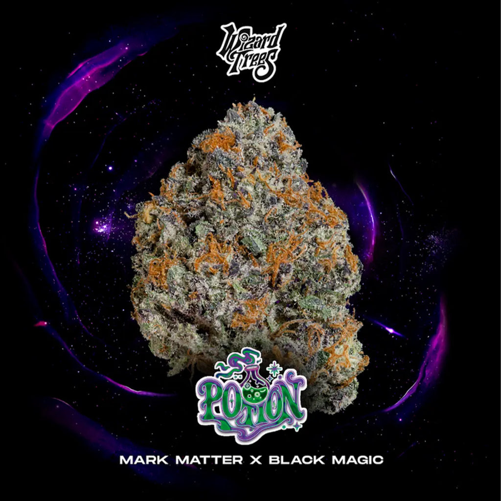 Wizard Trees | Black Magic Collection | 3 Seeds versch. Sorten