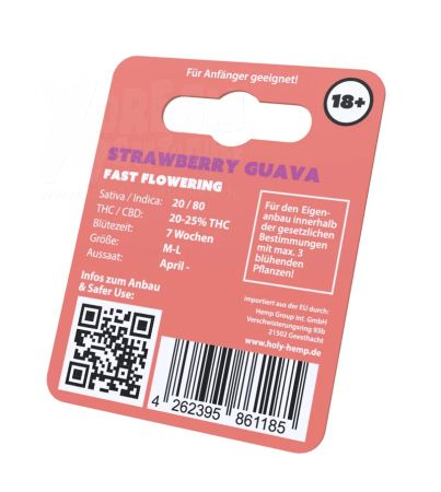 Strawberry Guava  | 3 Samen