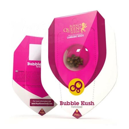 Bubble Kush Fem | 5 Samen
