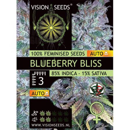 Blueberry Bliss AutoFem | 3 Samen