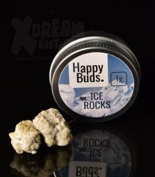 HAPPY BUDS | ICE ROCKS | 1G