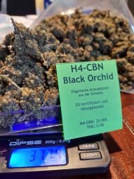 4H-CBN BLACK ORCHID - 25% - 2 gr.