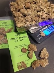 CBD | Lemon Muffin | 20% | 2 gr.