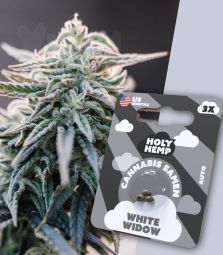 Holy Hemp | White Widow | 3 Seeds per Pack