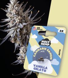 Holy Hemp | Vanilla Gelato | 3 Seeds per Pack