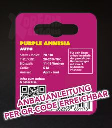 Purple Amnesia | 3 Samen