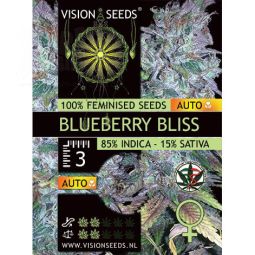 Blueberry Bliss AutoFem | 5 Samen